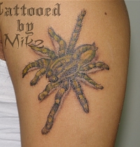 MikeDSC00188tattoo
