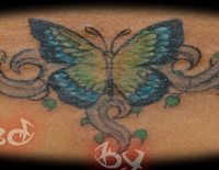 butter fly tattoo mike