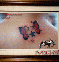 butterfly_big