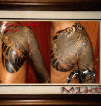 dragon-in-progress1_big