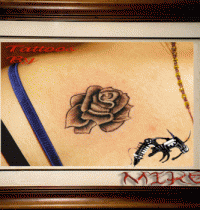 rose_big