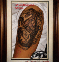 sea-horse1_big